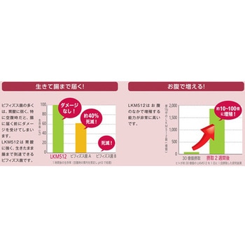巡優LKM512(R) Aron(アロン化成)