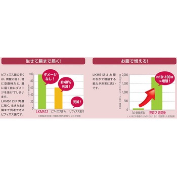 巡優LKM512(R) Aron(アロン化成)