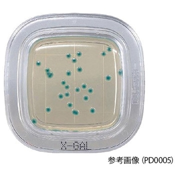 ぺたんチェック R 10 PTシリーズ (R)DD 栄研化学