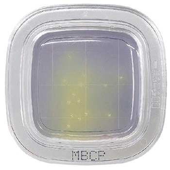 PD0022 ؂`FbN R 10 PTV[Y (R)DD hw 62068783