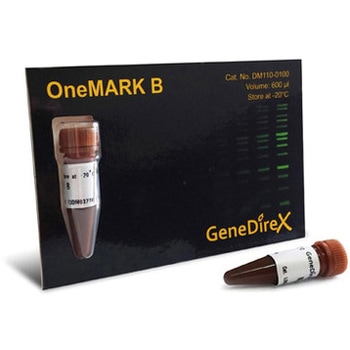 DM110-0100 DNA�d�C�j���}�[�J�[ DM�V���[�Y �A�Y���� 62071416