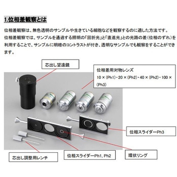 ECプランレンズ生物顕微鏡 アズワン