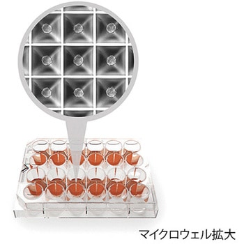 スフェロイド作製培養プレート 水戸工業