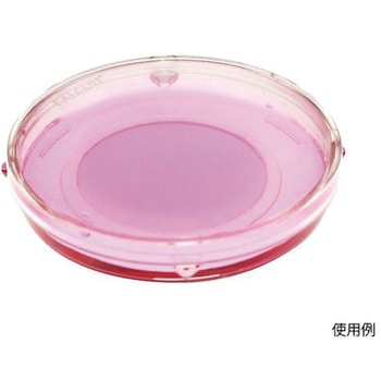 IVF ガラスボトムディッシュ 顕微授精用 ICSI・IMSI対応 アズワン