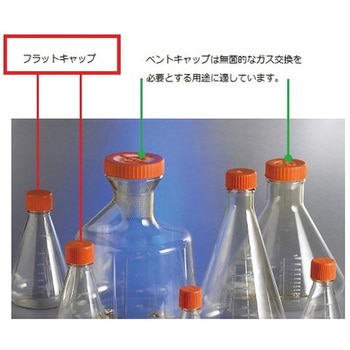 三角フラスコ バッフル無し 43シリーズ コーニング