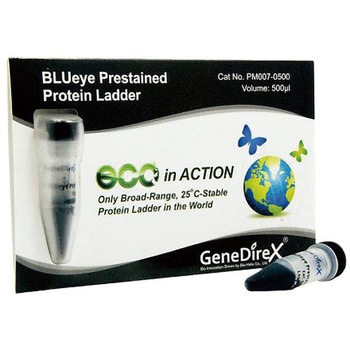 プロテインラダーマーカー PMシリーズ BLUeye Prestained Protein Ladder GeneDireX