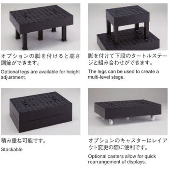 タートルステージ 河淳