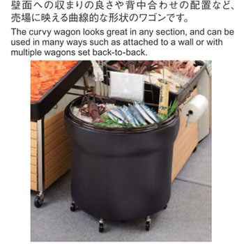 アイスワゴンSCR 河淳