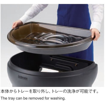 アイスワゴンSCR 河淳