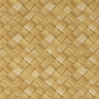 EL255 GR[ ͏~ 62109294