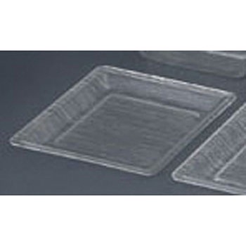 ルーツバーク角皿 河淳