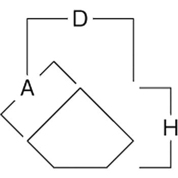 プライスチップ 河淳