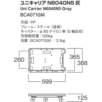 ユニキャリア 河淳