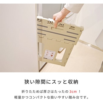 折りたたみステップ 河淳