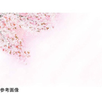 おふたりさまセット 用美(ヤマコー)