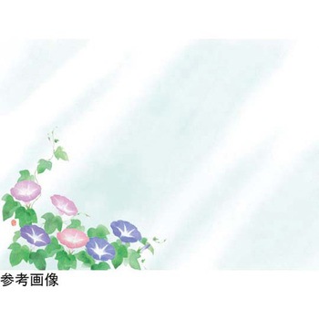 おふたりさまセット 用美(ヤマコー)