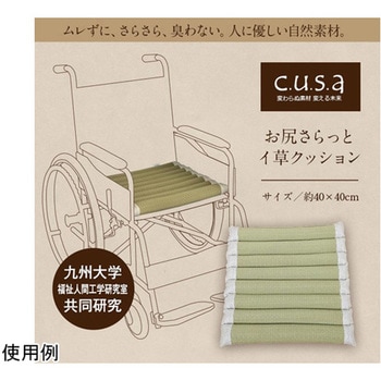 お尻さらっとクッション 夏場でもムレにくい い草クッション イケヒコ・コーポレーション
