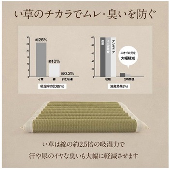 お尻さらっとクッション 夏場でもムレにくい い草クッション イケヒコ・コーポレーション