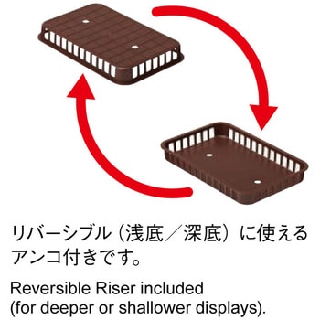 ツーウェイバスケ 河淳