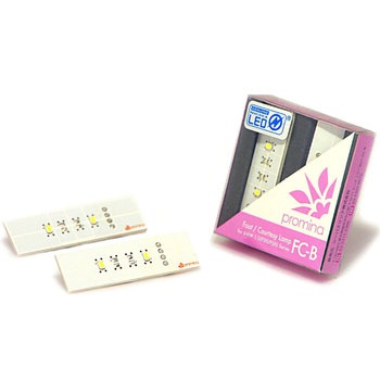 promina LED 輸入車向け Seabass Link