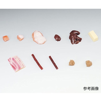 フードモデル 獣鳥肉類96～106 イワイサンプル