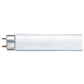 AC100V/40形 蛍光灯 スターター形/昼光色/25本 エスコ