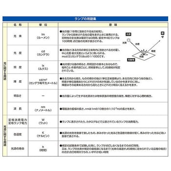 AC100V/40形蛍光灯 ラピッドスタート/昼白色/25本 エスコ