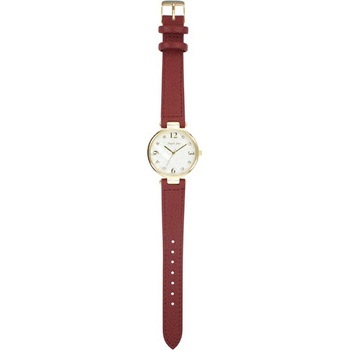 腕時計 抗菌ベルトウォッチC pierre cardin(ピエールカルダン)