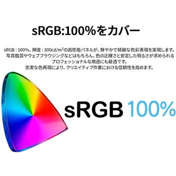 ディスプレイ23.8型/2560×1440/HDMI×1、DP×1、USB-C×1/ブラック/スピーカー無/2年保証 - JAPANNEXT