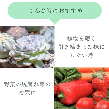 水でうすめるカルシウム液肥150ml 自然暮らし