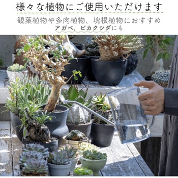 水に溶かして速く効く粉末液肥100g+添加液肥20ml 自然暮らし