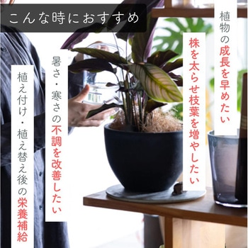 水に溶かして速く効く粉末液肥100g+添加液肥20ml 自然暮らし