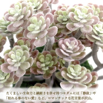 人工観葉植物 ミニサイズ(ナチュラルポット) ササガワ