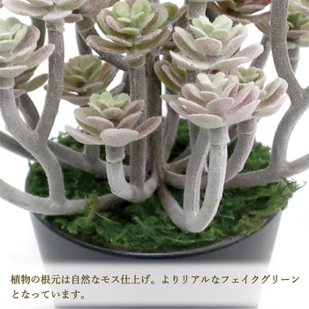 人工観葉植物 ミニサイズ(ナチュラルポット) ササガワ