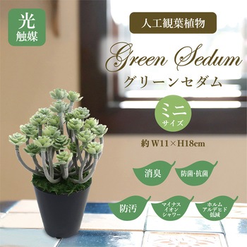 人工観葉植物 ミニサイズ(ナチュラルポット) ササガワ