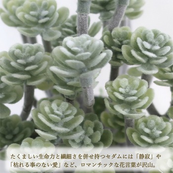 人工観葉植物 ミニサイズ(ナチュラルポット) ササガワ