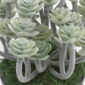 人工観葉植物 ミニサイズ(ナチュラルポット) ササガワ