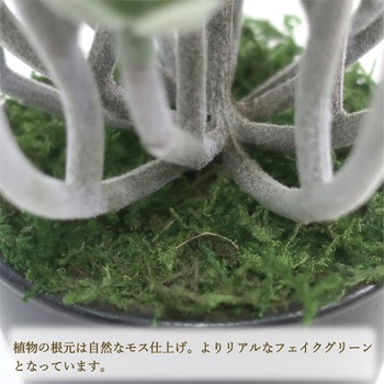 人工観葉植物 ミニサイズ(ナチュラルポット) ササガワ