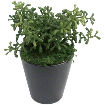 32-8702 �l�H�ϗt�A�� �~�j�T�C�Y(�i�`�������|�b�g) �T�T�K�� 62425808