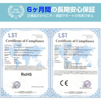 消毒スプレーガン - RABLISS