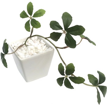 32-8705 �l�H�ϗt�A�� S�T�C�Y �T�T�K�� 62425835