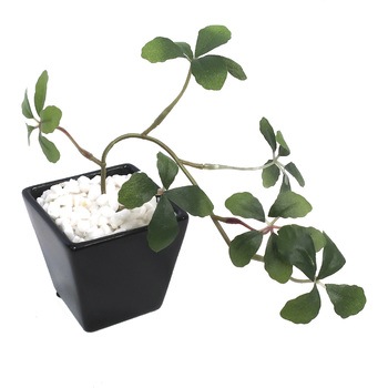 32-8706 �l�H�ϗt�A�� S�T�C�Y �T�T�K�� 62425844