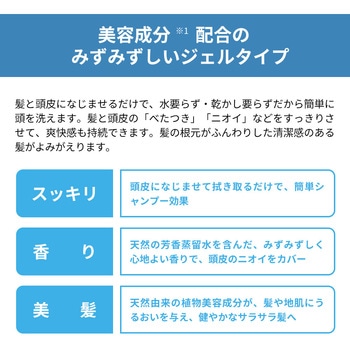 水のいらないシャンプー RABLISS