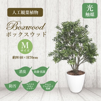 人工観葉植物 Mサイズ ササガワ 人工観葉植物(人工樹木) 【通販