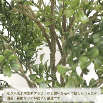 人工観葉植物 Mサイズ ササガワ