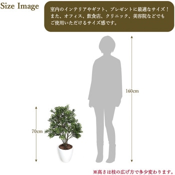 人工観葉植物 Mサイズ ササガワ