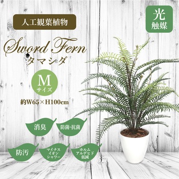 人工観葉植物 Mサイズ ササガワ