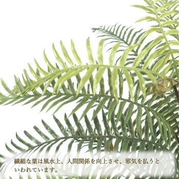 人工観葉植物 Mサイズ ササガワ