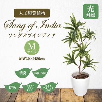 人工観葉植物 Mサイズ ササガワ