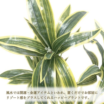 人工観葉植物 Mサイズ ササガワ